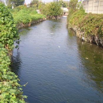 Calm river